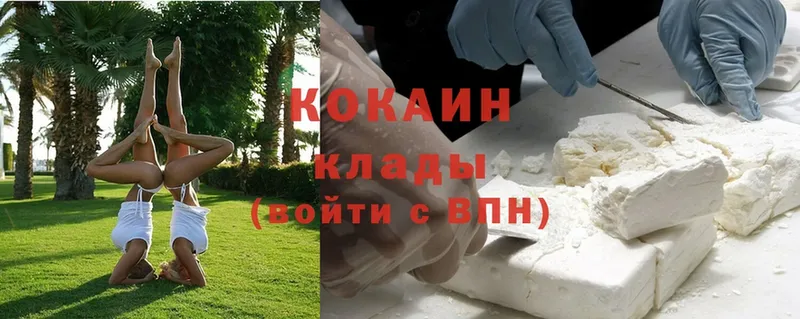 Cocaine Fish Scale  купить закладку  Калининец 