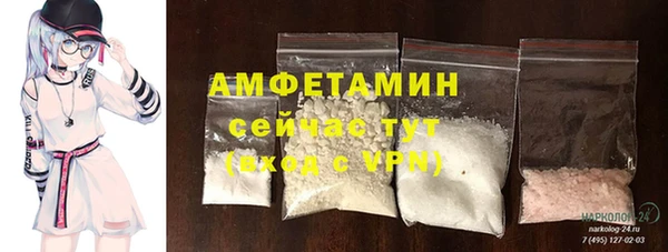 PSILOCYBIN Няндома