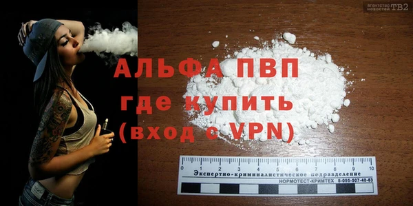PSILOCYBIN Няндома