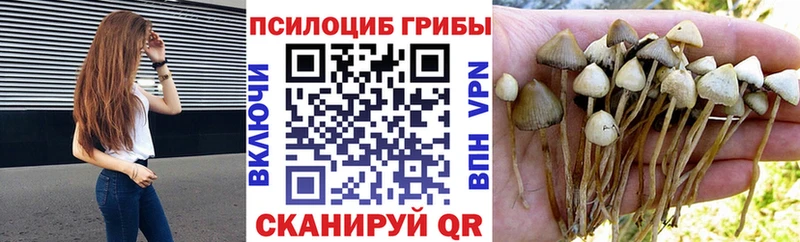 Псилоцибиновые грибы ЛСД  Калининец 