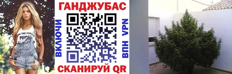 Бошки Шишки ГИДРОПОН Калининец